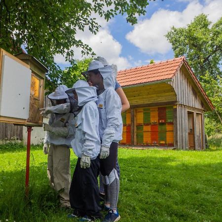 Beekeeping Kojek Apartment Ribnica ภายนอก รูปภาพ