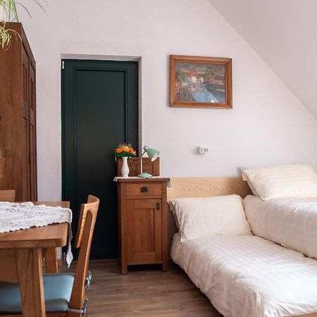 Beekeeping Kojek Apartment Ribnica ภายนอก รูปภาพ